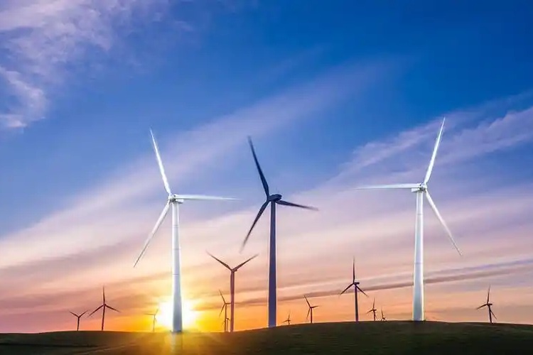 EU Faces Significant SAF Supply Gap, Creating Export Opportunities for Chinese Companies